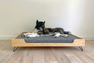  A DIYHairpinLegs Build: Easy & Modern Hairpin Leg Dog Bed