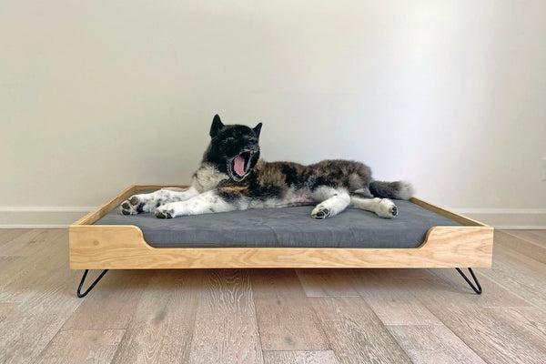 Wooden dog beds with legs new arrivals