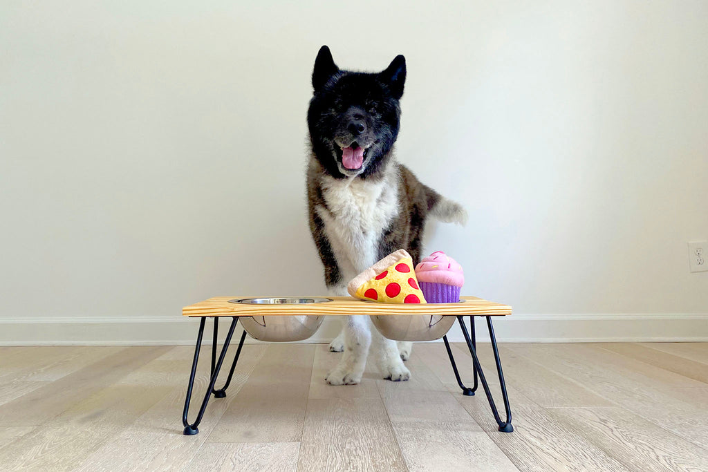 DIY Dog Bowl Stand  Raised Dog Feeder 