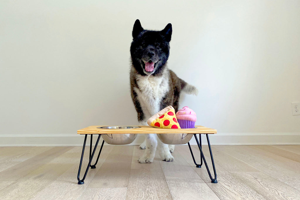 Raised Dog Bowl Stand With Two Bowls in Walnut Finish, Wooden