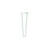 DIY Hairpin Legs Hairpin Legs Mint / 19" / 3/8" Hairpin Leg (Sold Separately), 2-Rod Design - Mint Powder Coated Finish