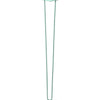 DIY Hairpin Legs Hairpin Legs Turquoise / 40" / 3/8" Hairpin Leg (Sold Separately), 2-Rod Design - Turquoise Powder Coated Finish